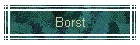 Borst